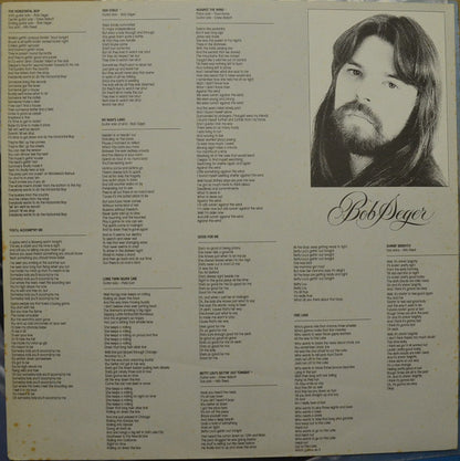 Bob Seger And The Silver Bullet Band : Against The Wind (LP, Album)