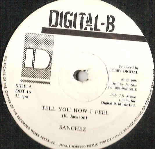 Sanchez / Sanchez & Terror Fabulous : Tell You How I Feel (12")