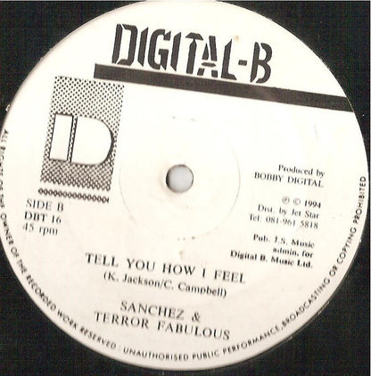 Sanchez / Sanchez & Terror Fabulous : Tell You How I Feel (12")