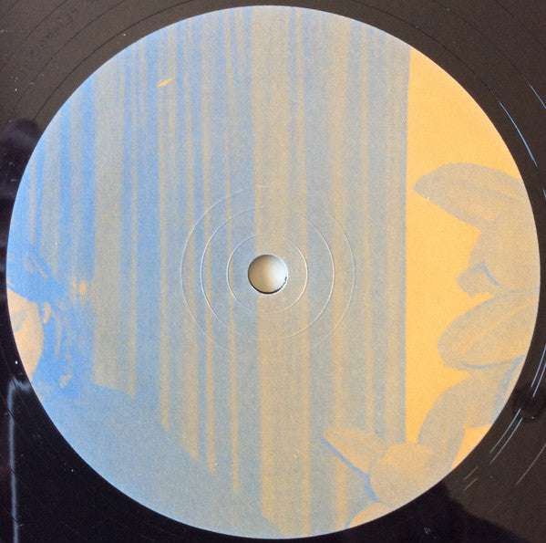 DJ Guy (4) :  Basf Ferro  (12", EP, Ltd)