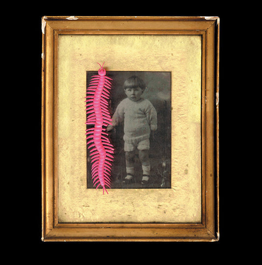 Volcano The Bear : All The Paint I Can Breathe (10")