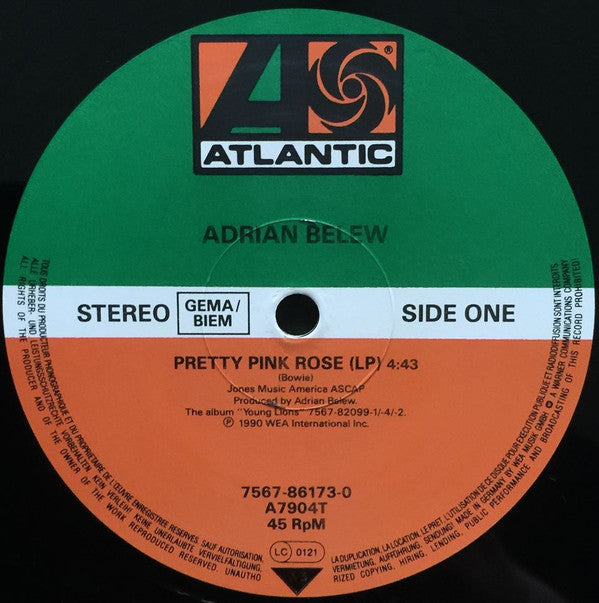 Adrian Belew Featuring David Bowie : Pretty Pink Rose (12")