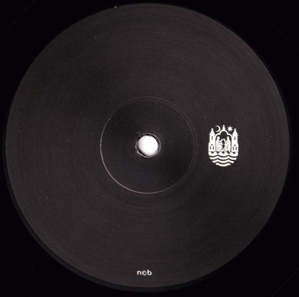 Nicole Cecilie Bitsch Pedersen : Leak Project (12", Ltd)