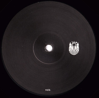 Nicole Cecilie Bitsch Pedersen : Leak Project (12", Ltd)