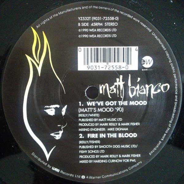 Matt Bianco : Fire In The Blood (12")