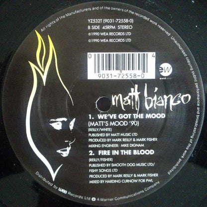 Matt Bianco : Fire In The Blood (12")