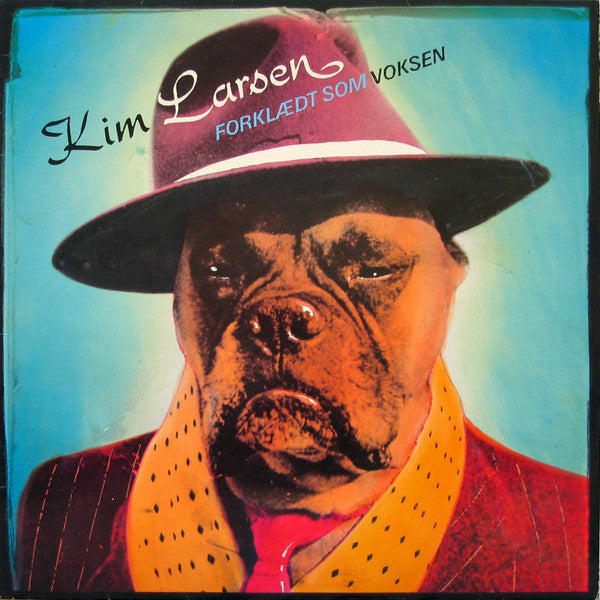 Kim Larsen & Bellami : Forklædt Som Voksen (LP, Album)