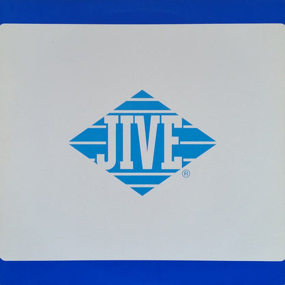 R. Kelly : Fiesta (12", Promo)