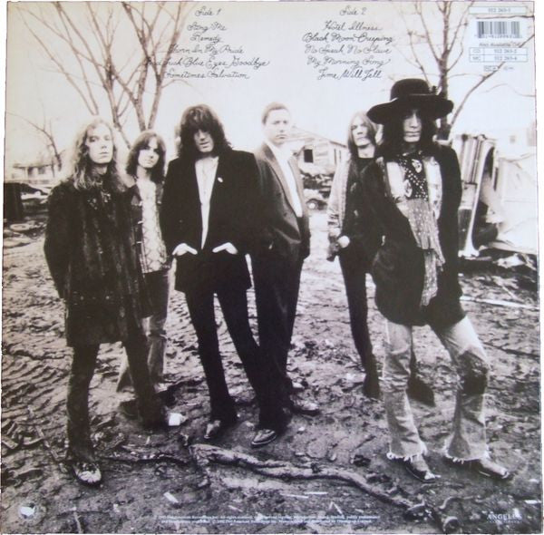 The Black Crowes : The Southern Harmony And Musical Companion (LP, Album)