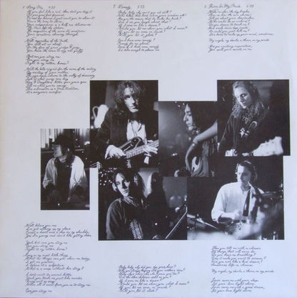 The Black Crowes : The Southern Harmony And Musical Companion (LP, Album)