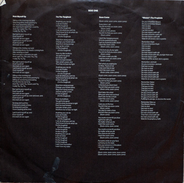 Peter Tosh : Bush Doctor (LP, Album)