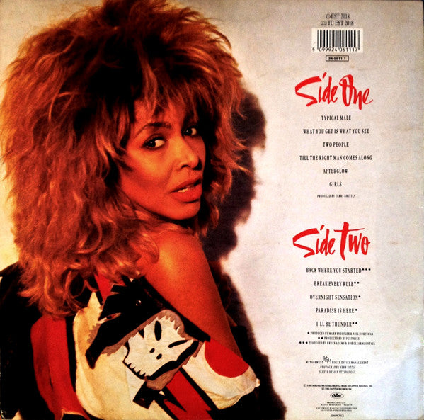 Tina Turner : Break Every Rule (LP, Album)