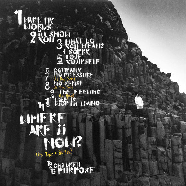 Justin Bieber : Purpose (2xLP, Album)