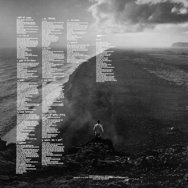 Justin Bieber : Purpose (2xLP, Album)