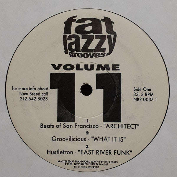 Various : Fat Jazzy Grooves Volume 11 (12")