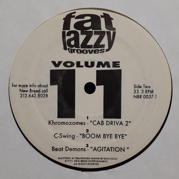 Various : Fat Jazzy Grooves Volume 11 (12")