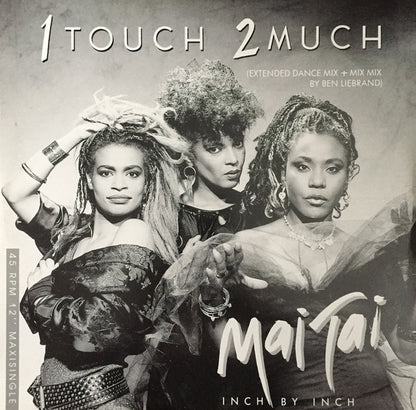 Mai Tai : 1 Touch 2 Much (12", Maxi)