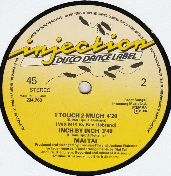 Mai Tai : 1 Touch 2 Much (12", Maxi)