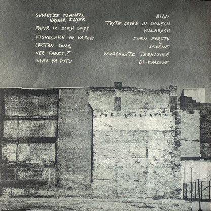 Black Ox Orkestar : Ver Tanzt? = ?װער טאַנצט (LP, Album, 180)