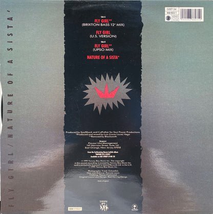Queen Latifah : Fly Girl / Nature Of A Sista' (12")