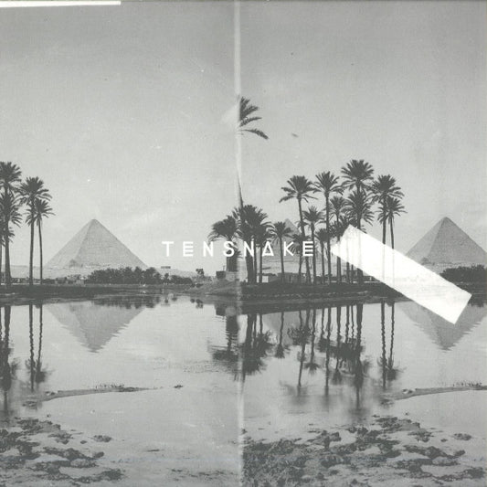 Tensnake : Desire (12", EP)