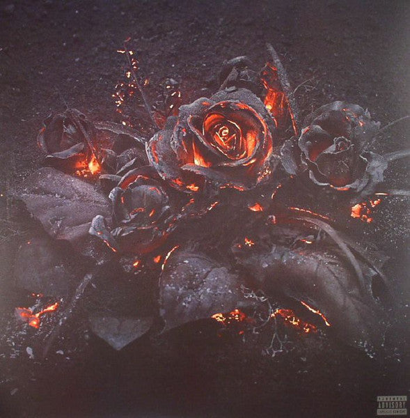 Future (4) : Evol (LP, Album)