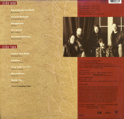 The Doobie Brothers : Brotherhood (LP, Album)