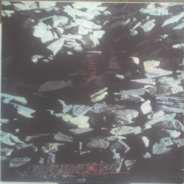Echo & The Bunnymen : Silver (Tidal Wave) (12")