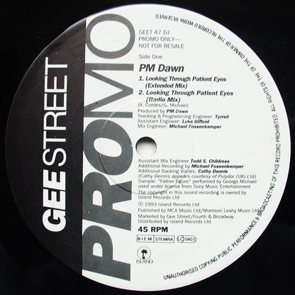 P.M. Dawn : Looking Through Patient Eyes / Plastic (12", Promo)