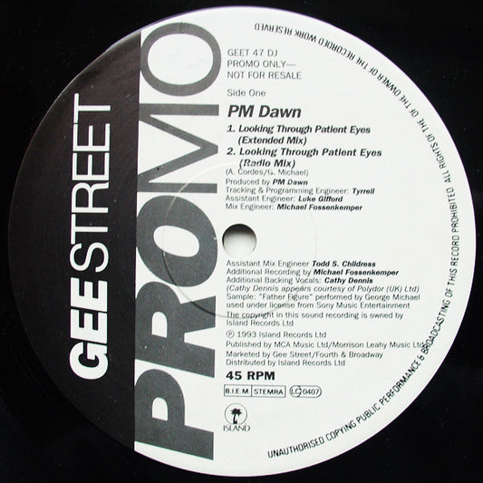 P.M. Dawn : Looking Through Patient Eyes / Plastic (12", Promo)
