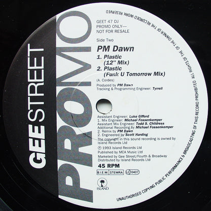 P.M. Dawn : Looking Through Patient Eyes / Plastic (12", Promo)