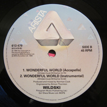 MC Wildski : Wonderful World (12", Single)