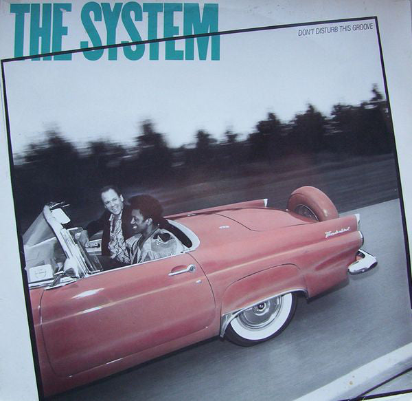 The System : Don't Disturb This Groove (LP, Album)