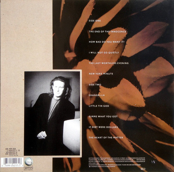 Don Henley : The End Of The Innocence (LP, Album, Als)