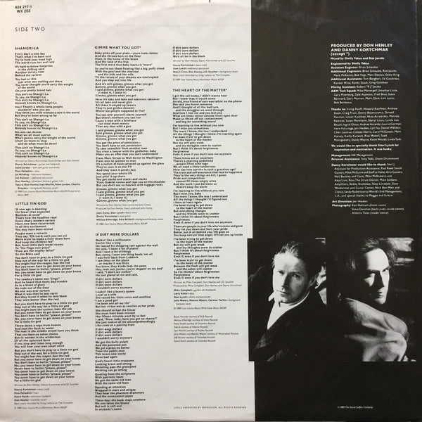 Don Henley : The End Of The Innocence (LP, Album, Als)