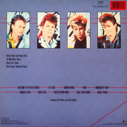 Mr. Mister : Welcome To The Real World (LP, Album)