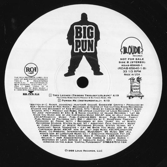 Big Punisher : Punish Me (12", Promo)