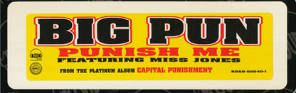 Big Punisher : Punish Me (12", Promo)