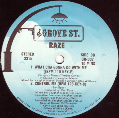 Raze : Let The Music Move U (12")