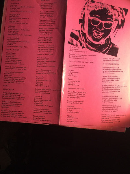 Steinunn Bjarnadóttir : Á Útopnu (LP, Album)