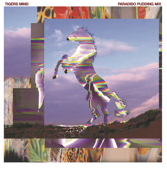 Tigers Mind : Paradiso Pudding Mix (LP, Album)