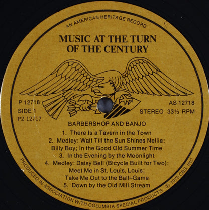 Various : Music At The Turn Of The Century (2xLP, Comp)