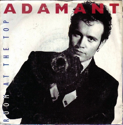 Adam Ant : Room At The Top (12", Single)