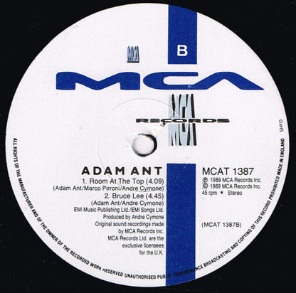 Adam Ant : Room At The Top (12", Single)