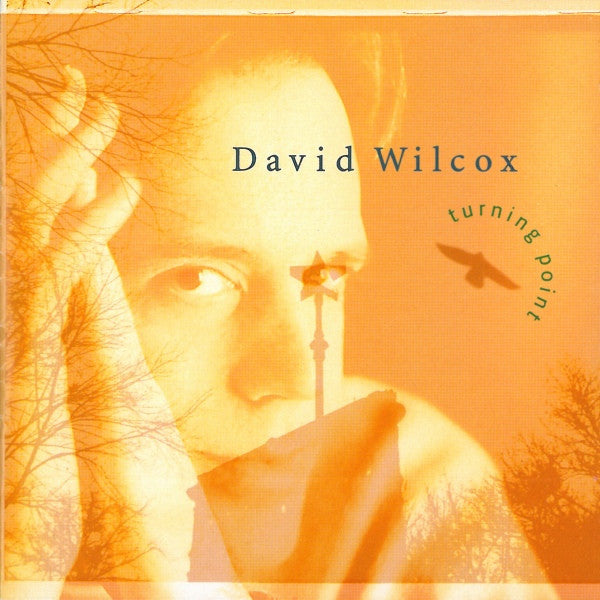 David Wilcox : Turning Point (HDCD, Album)