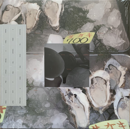 Loke Rahbek & Frederik Valentin : Buy Corals Online (LP, Album)