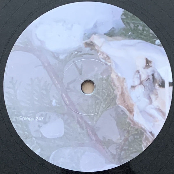 Loke Rahbek & Frederik Valentin : Buy Corals Online (LP, Album)