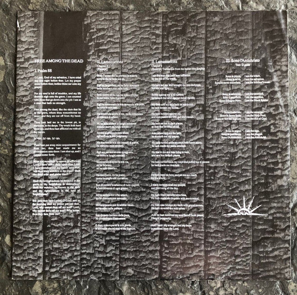 Diamanda Galás : The Divine Punishment (LP, Album)