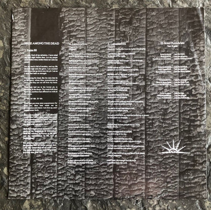 Diamanda Galás : The Divine Punishment (LP, Album)