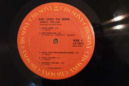 James Taylor (2) : Dad Loves His Work (LP, Album)